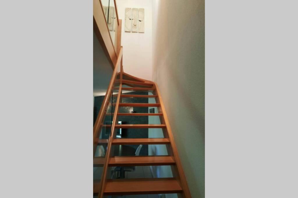 Superbe Duplex Au Nouveau Bassin Avec Vue Superbe Mulhouse Exterior foto